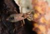 335090 – Photo : Christian Berquer – France (05)