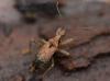 335091 – Photo : Christian Berquer – France (05)