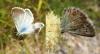 335386 – Photo : Kim Jude – France (06)