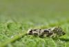335840 – Photo : Emilien TEULIER – France (82)