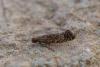 335759 – Photo : Johan Verstraeten – France (83)
