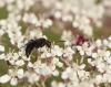 335147 – Photo : Maxime Zucca – France (26)