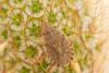 335515 – Photo : Jessica Joachim – France (13)