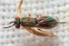 336896 – Photo : André Burgers – Espagne