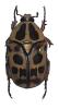 336188 – Photo : Scarab63 – Mali