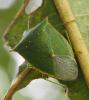 336915 – Photo : jpjepilou – Bénin