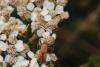 336901 – Photo : Simon Thevenin – France (81)