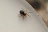 336780 – Photo : CRISTANTE Matteo – France (48)