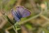 336917 – Photo : Lionel Casset – Cap-Vert