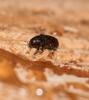 336146 – Photo : éric Pensa – France (13)
