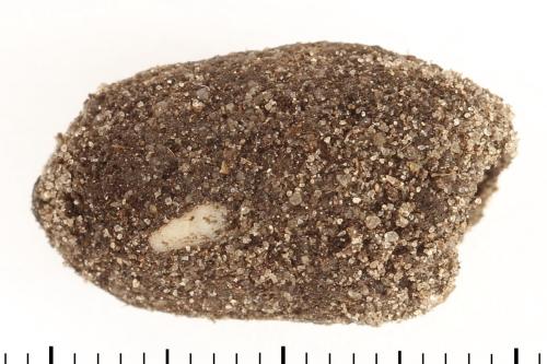 Réf. 337 978 : Tenthredo adusta