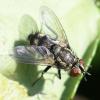 337913 – Photo : Didier Houbrechts – Belgique