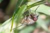 337450 – Photo : Didier Houbrechts – Belgique