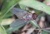 337449 – Photo : Didier Houbrechts – Belgique