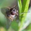 337473 – Photo : Didier Houbrechts – Belgique