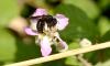 337225 – Photo : Bisetti Jean – Espagne
