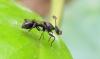 337801 – Photo : jpjepilou – Bénin