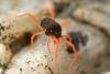 337405 – Photo : Jessica Joachim – Espagne