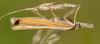 337026 – Photo : Christian Berquer – France (29)