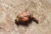 337216 – Photo : Jude Bucktrout – France (36)