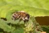 338979 – Photo : Daniel INGREMEAU – France (36)