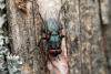338624 – Photo : Jessica Joachim – France (09)