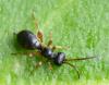 338841 – Photo : Jean-Michel GAREL – France (89)