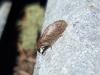 338051 – Photo : Yann Brilland – France (73)