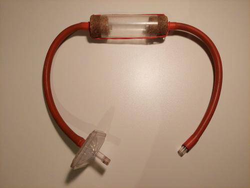 Aspirateur sp.