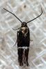 339302 – Photo : André Burgers – Espagne