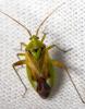 339224 – Photo : André Burgers – Espagne