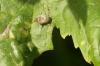 339689 – Photo : Sandor31 – France (31)