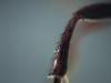 339695 – Photo : Daniel INGREMEAU – France (36)