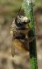 34905 – Photo : Anne Forgues – France (11)
