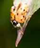 34701 – Photo : Pierre Duhem – France (75)