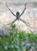34668 – Photo : Normand Mlaure – France (11)