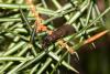 34763 – Photo : Vincent Derreumaux – France (04)