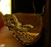 34041 – Photo : Chantal Boddaert – France (74)