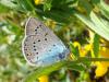34064 – Photo : Arnaud Jean-Pierre – France (09)