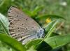 34649 – Photo : Arnaud Jean-Pierre – France (09)