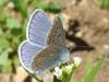 34643 – Photo : Arnaud Jean-Pierre – France (09)