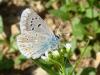 34644 – Photo : Arnaud Jean-Pierre – France (09)
