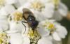 34375 – Photo : Cecile Bassaglia – France (94)