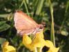34414 – Photo : jeromebubu – France (47)