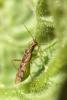 34081 – Photo : basc – France (20)
