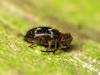 34982 – Photo : Vincent Lefebvre – France (91)