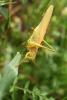 34161 – Photo : basc – France (20)