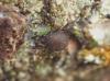 340435 – Photo : Daniel Philippe – France (47)
