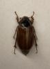 340613 – Photo : Sylvain Bacchetta – France (01)