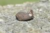 340479 – Photo : Michel Mathieu – France (14)